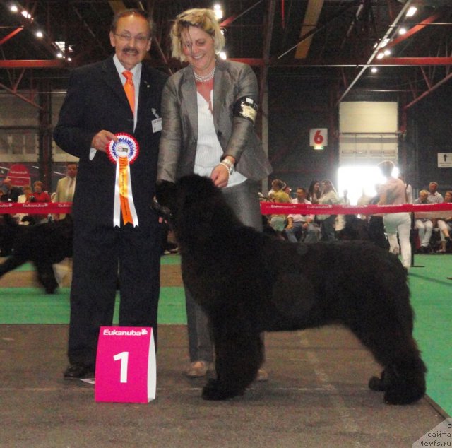 Фотография № 76592