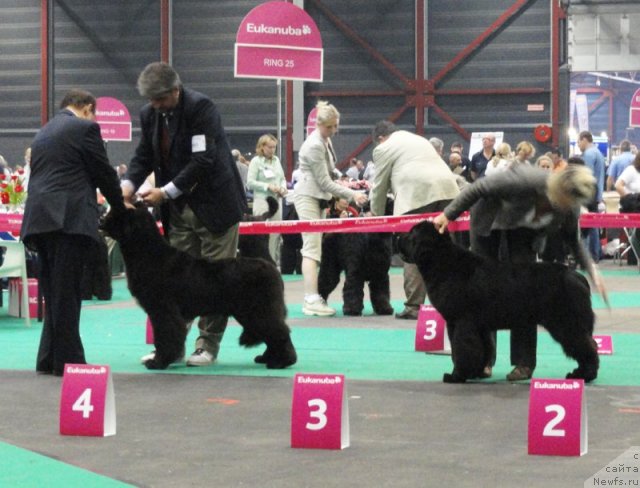 Фотография № 76593