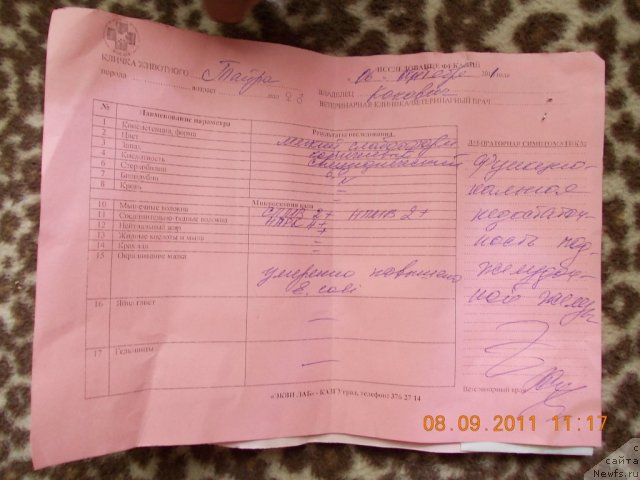 Фотография № 76602