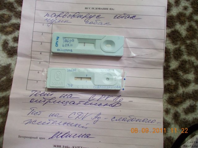 Фотография № 76607