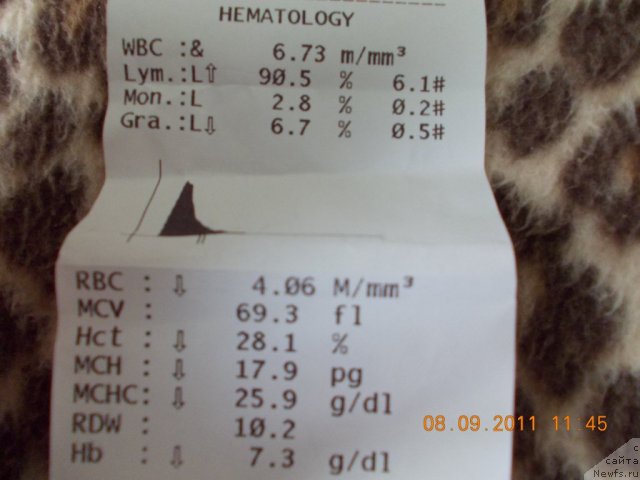 Фотография № 76609