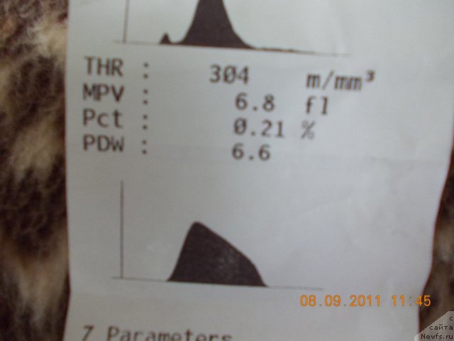 Фотография № 76610