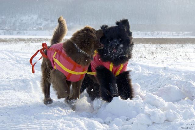 Фотография № 7663