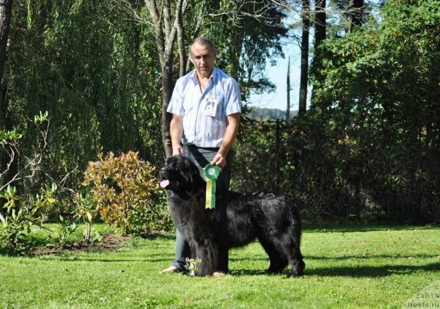 Фотография № 76701