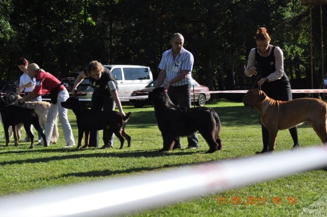 Фотография № 76702