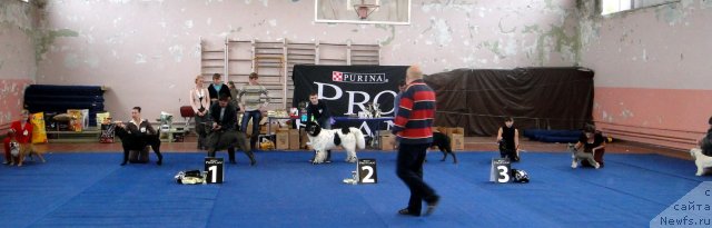 Фотография № 76712