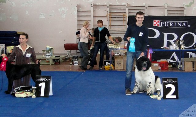 Фотография № 76713