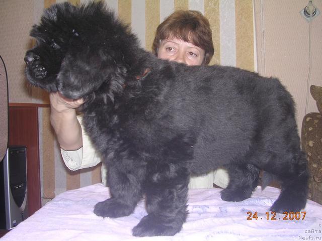 Фотография № 7672