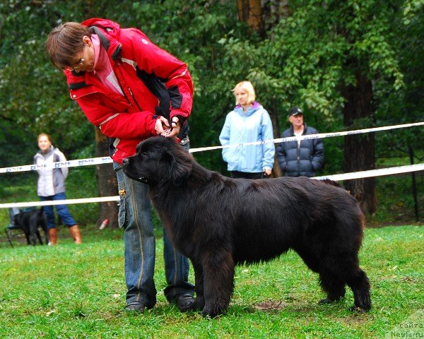 Фотография № 76743