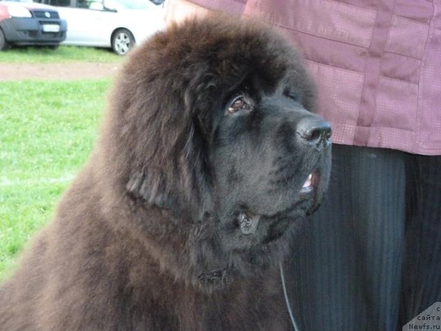 Фотография № 76753