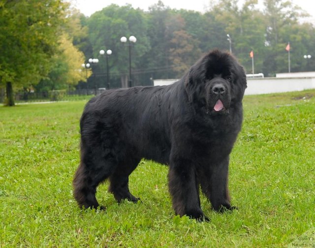 Фотография № 76777