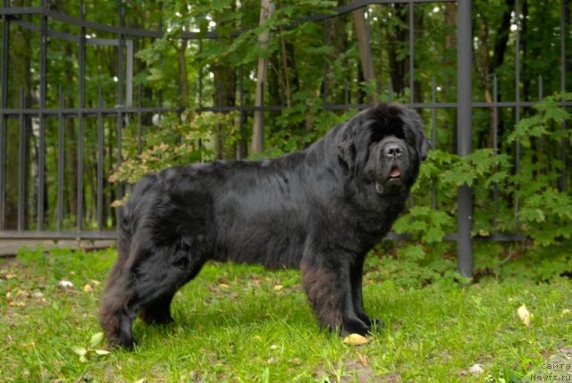 Фотография № 76782