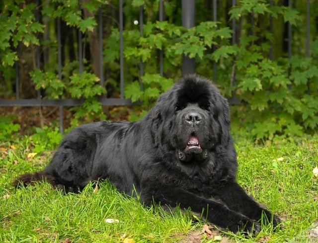 Фотография № 76786