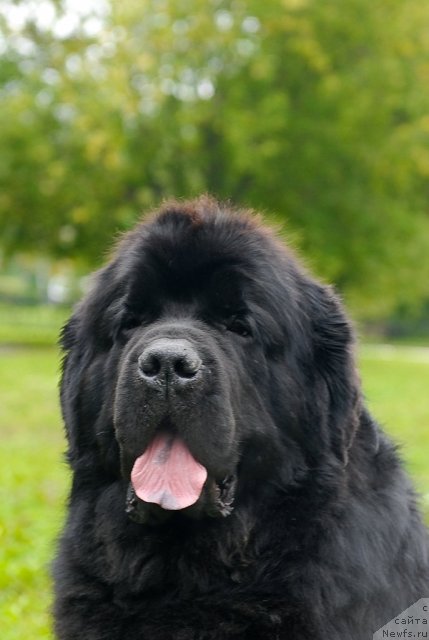 Фотография № 76790