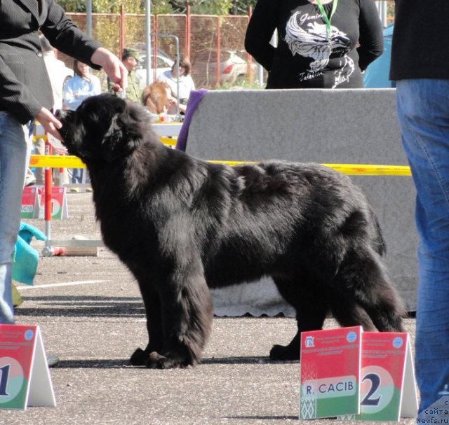 Фотография № 76800