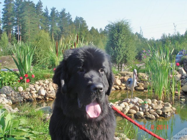 Фотография № 76831