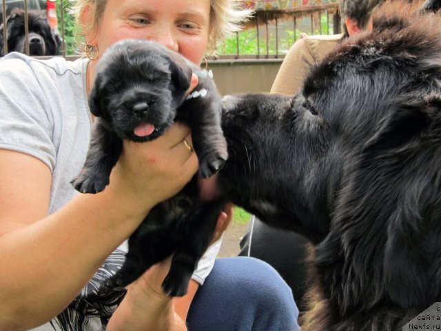 Фотография № 76857