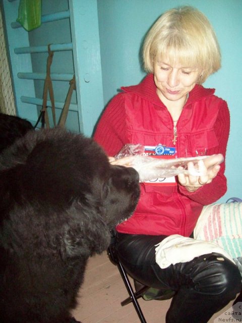 Фото: ньюфаундленд Beguschaya po Volnam Vyisshaya Liga (Бегущая по Волнам Высшая Лига), Елена Истомина