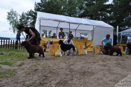 Фотография № 76866