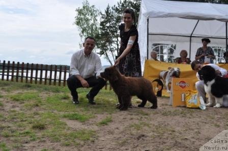 Фотография № 76867