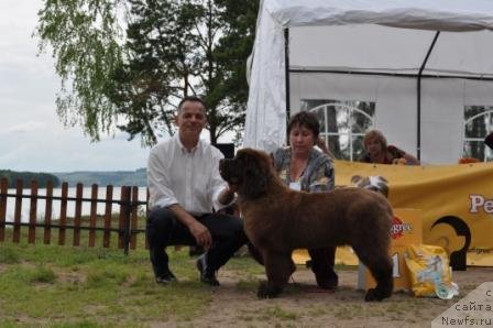 Фотография № 76871