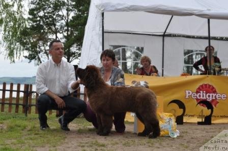 Фотография № 76874