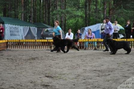 Фотография № 76876