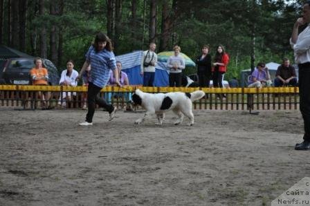 Фотография № 76878