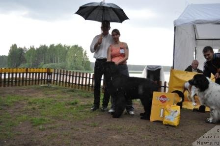 Фотография № 76882