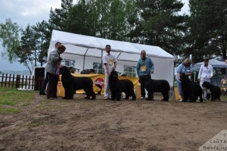 Фотография № 76883