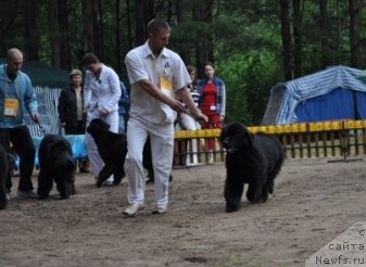 Фотография № 76886