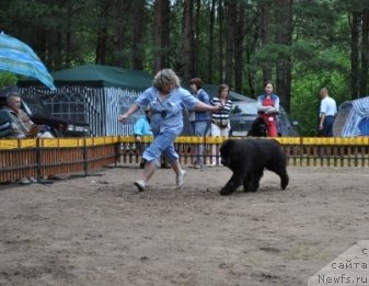 Фотография № 76888