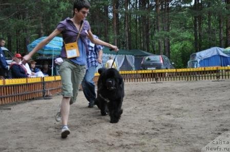 Фотография № 76897