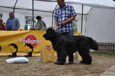 Фотография № 76899