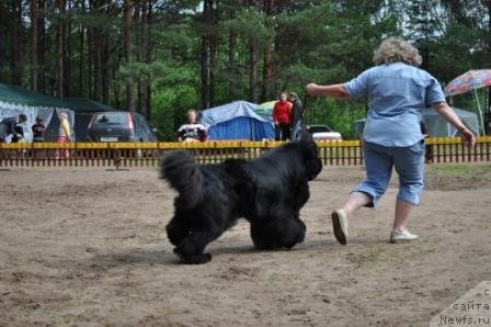 Фотография № 76901