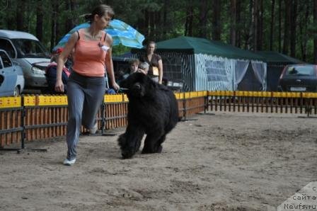 Фотография № 76902