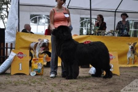 Фотография № 76905