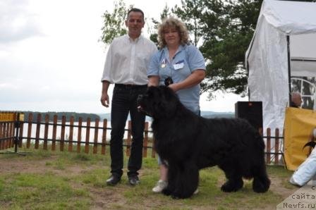 Фотография № 76906