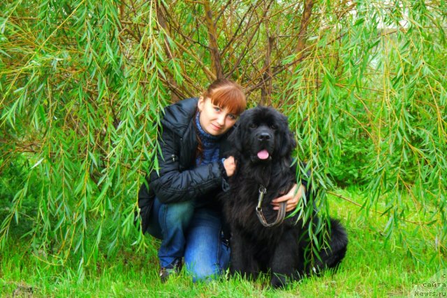 Фото: Irina Skladnova (Ирина Складнова)