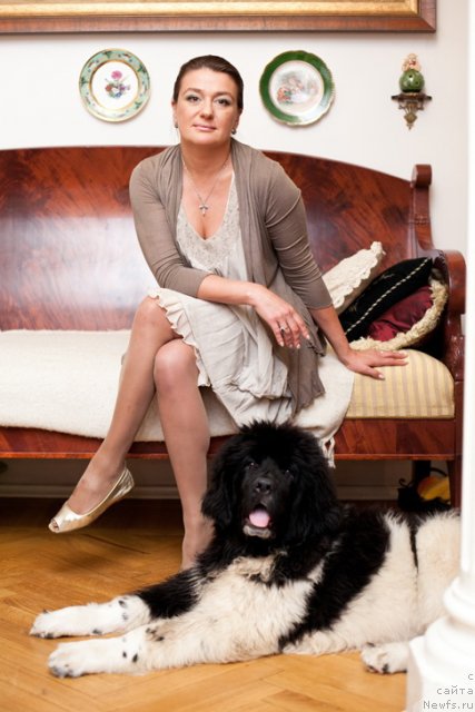 Фото: ньюфаундленд Plushevaya Panda Uiljam Venzenosnyj (Плюшевая Панда Уильям Венценосный)