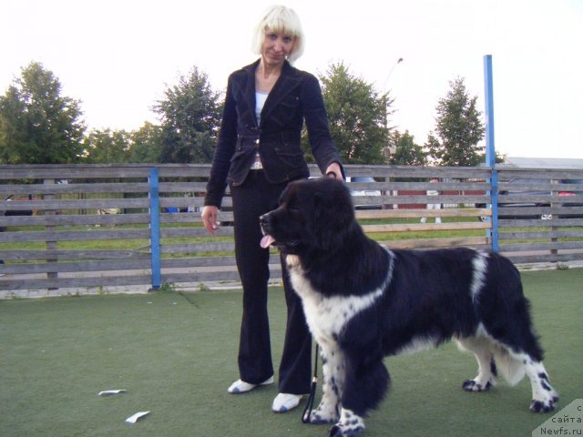 Фотография № 76931