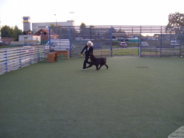 Фотография № 76939