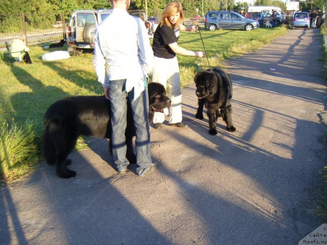 Фотография № 76940