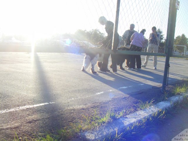 Фотография № 76941