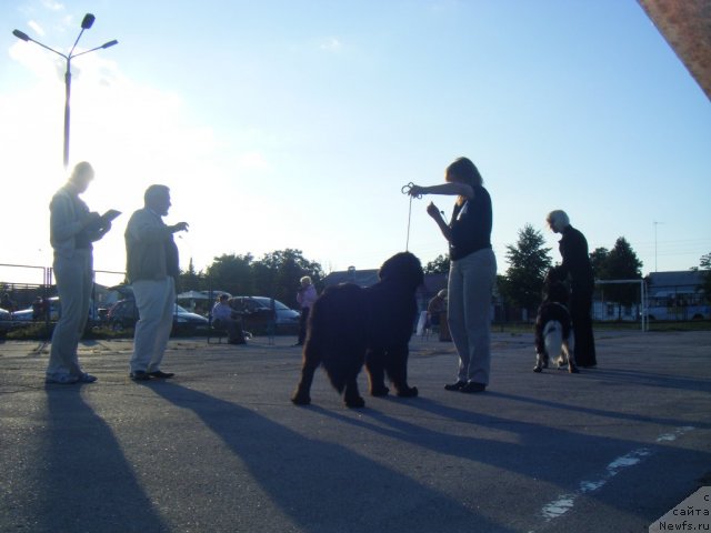 Фотография № 76943