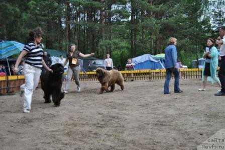 Фотография № 76962