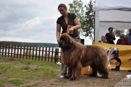 Фотография № 76965