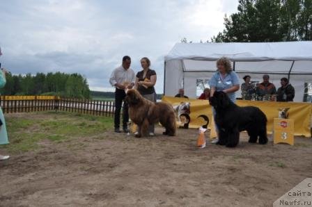 Фотография № 76966