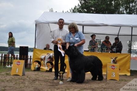 Фотография № 76968