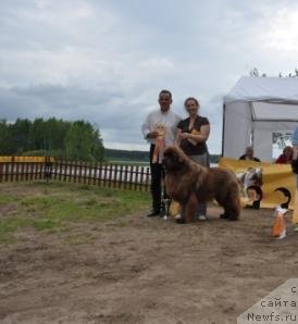 Фотография № 76969